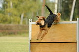 Lulu`s Bolle