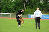 Bowie von der Stoapfalz