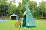 Bowie von der Stoapfalz