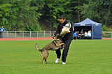 Drago-Balou met Leewenmoed