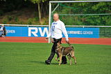 Drago-Balou met Leewenmoed