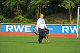 Drago-Balou met Leewenmoed