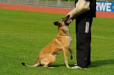 Nanuk vom Further Moor