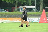 Phoebe vom Further Moor