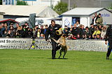 Orcan vom Further Moor