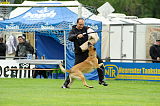 Nanuk vom Further Moor