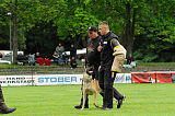 Nanuk vom Further Moor