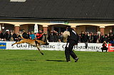 Condor von der Stoapfalz