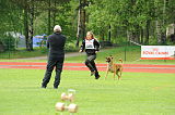 Zito vom Greifenring