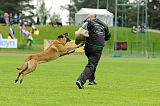 Alan Edin Dvor