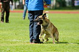 Räty vom Further Moor