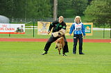 Tammikallion Lucky Luke