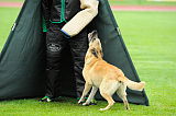 Tämä on Capina