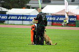 Shywa vom Greifenring