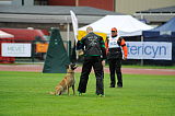 Shywa vom Greifenring