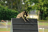 Boyd's Bullriding Glenmore