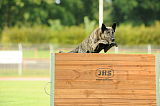 Boyd's Bullriding Glenmore