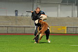 Tammikallion Lucky Luke