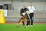 Malimaniac´s Action