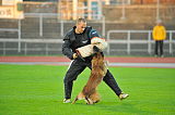 Malimaniac´s Action
