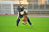 Malimaniac´s Action