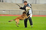 Alto Veranis K-9 Dog Center