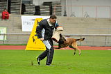 Alto Veranis K-9 Dog Center