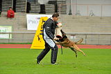 Alto Veranis K-9 Dog Center