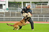Alto Veranis K-9 Dog Center