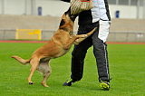 Alma Veranis K-9 Dog Center