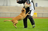 Alma Veranis K-9 Dog Center