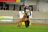 Alma Veranis K-9 Dog Center