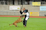 Akira Favorite