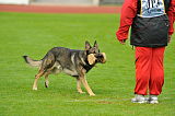 Xido von der Verstandheim