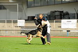 Imzedrift´s Viggo