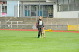 Garm vom Adlerauge