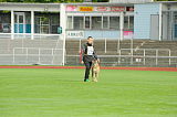 Garm vom Adlerauge
