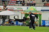 Djuke vom Steinteich