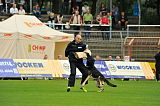Djuke vom Steinteich