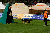 Hettie vom Ecke 
