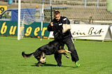 Zorro von der Mordschau