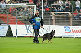 Aly von der Pflochsbacher Schmiede