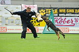 Aly von der Pflochsbacher Schmiede