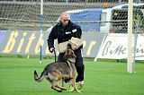 Henrik vom Wolfsheim