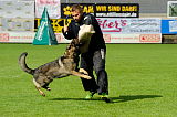 Aric vom wilden Klee