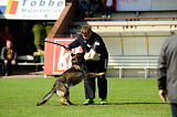 Aric vom wilden Klee