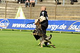 Aric vom wilden Klee