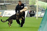 Chicco von Herrenhaus Werder