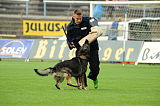 Chicco von Herrenhaus Werder