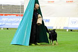 Don von der Neundorfer Flur